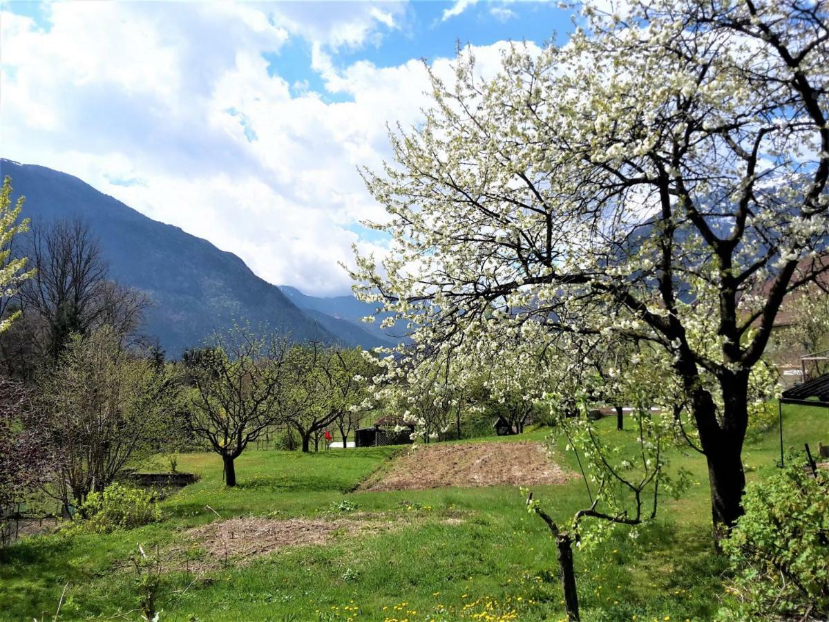 Bovec Holiday House Dış mekan fotoğraf
